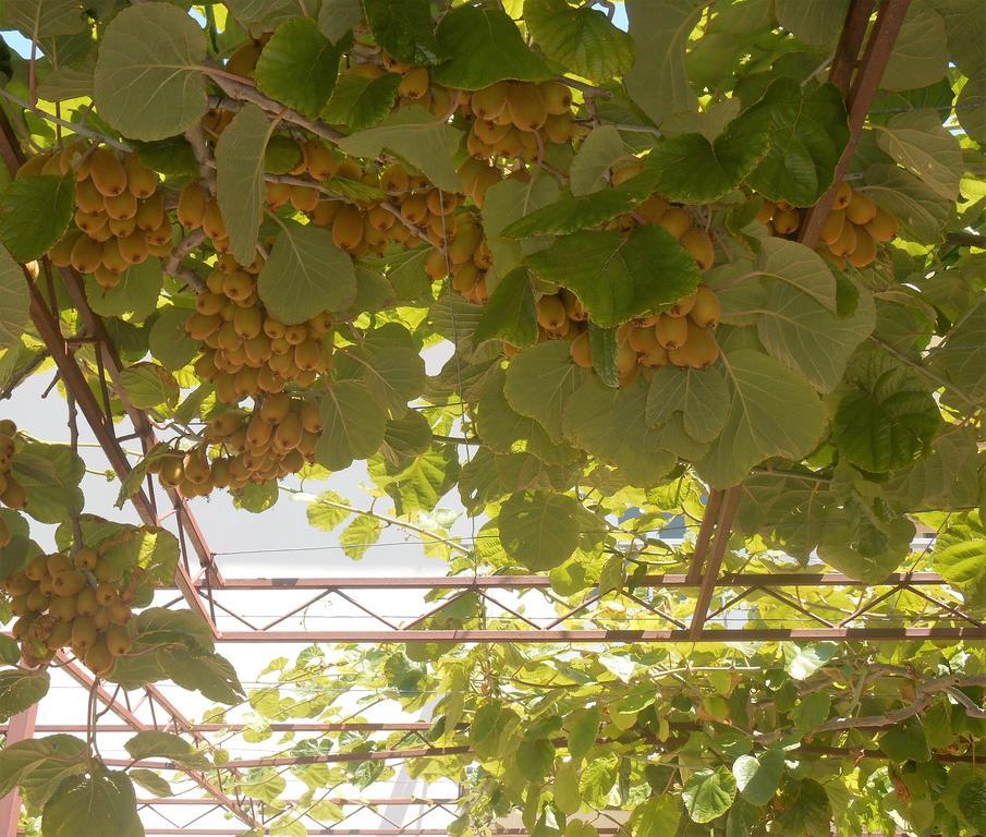 Apartments Bresan Trogir Luaran gambar